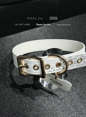 PuppyJoy独家「鳄鱼纹项圈」choker项圈高级手工定制