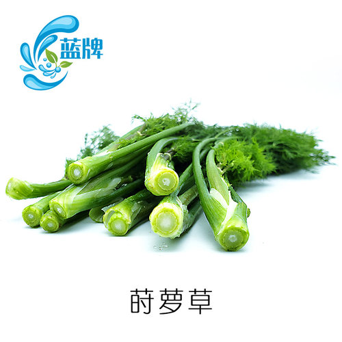 【蓝牌】新鲜莳萝草 dill 刁草 莳萝叶 洋茴香调味西餐香草料100g - 图1
