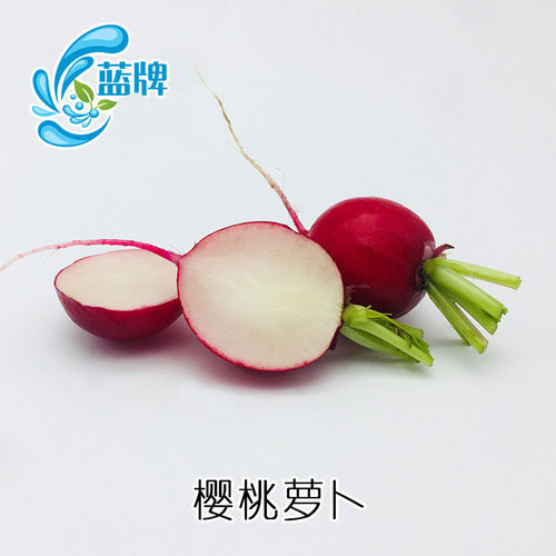 【蓝牌】新鲜迷你小萝卜Baby Radish小红萝卜樱桃萝卜水萝卜500g - 图3