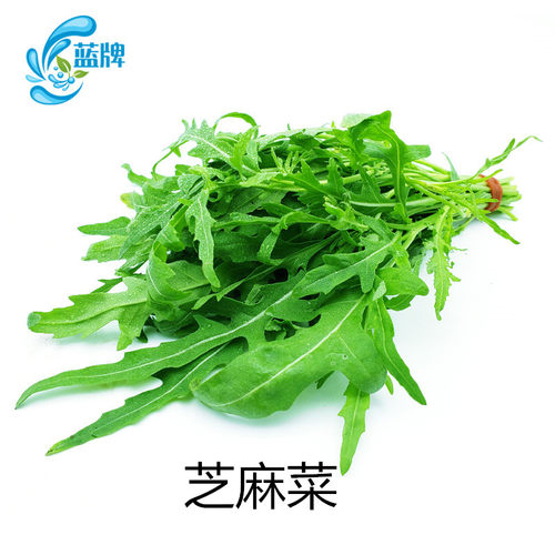 【蓝牌】新鲜芝麻菜火箭菜 新鲜蔬菜 Arugula沙拉菜色拉苦菜250g - 图1