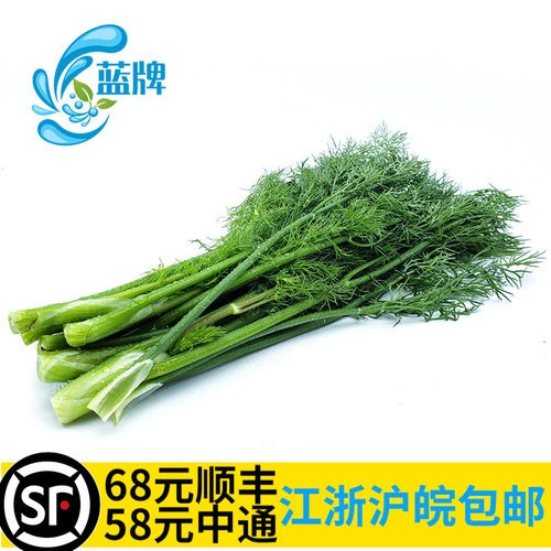 【蓝牌】新鲜莳萝草 dill 刁草 莳萝叶 洋茴香调味西餐香草料100g - 图0