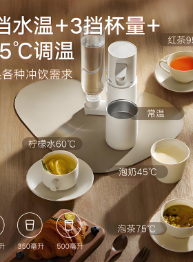 小米便携式即热饮水机家用桌面