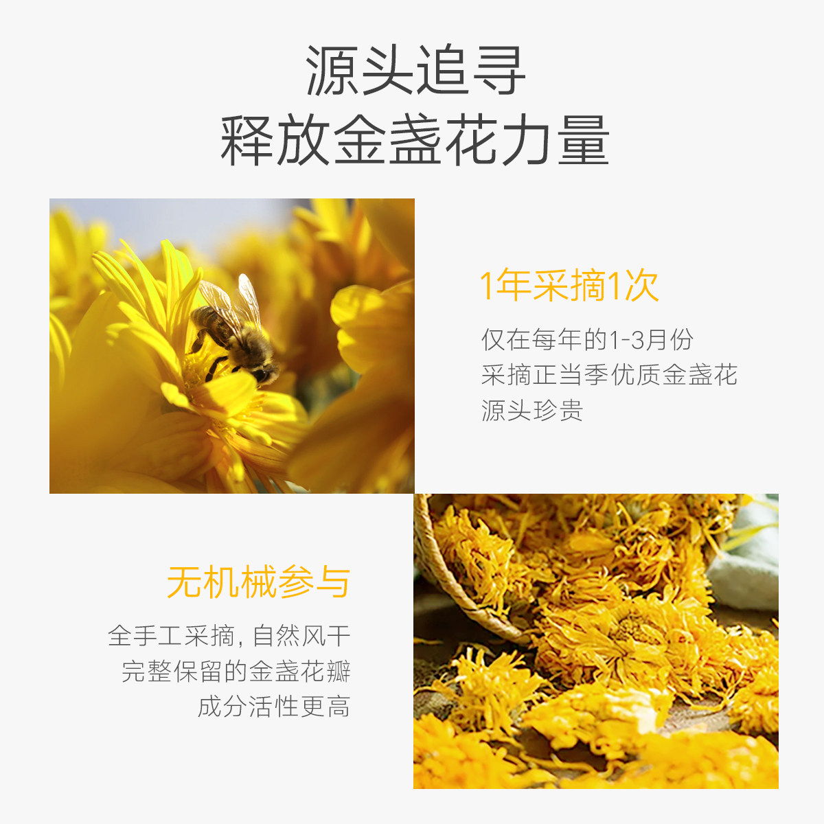 韩后金盏花水乳套装混油皮秋冬补水 韩后水之恋面部护理套装