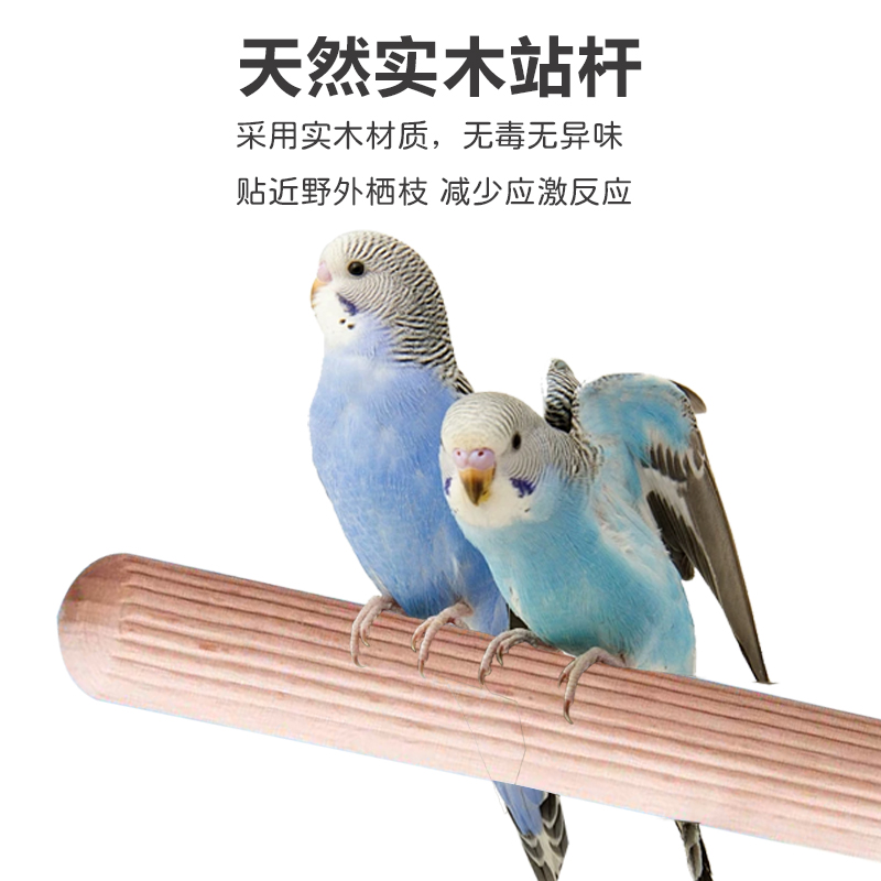 鹦鹉站杆磨爪棒虎皮玄凤牡丹鸟用品磨砂站棍架实木带食碗啃咬玩具 - 图0