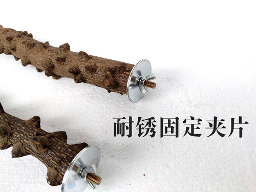 粤迪花椒木杆鸟站棍鹦鹉磨爪棒宠物栖杠鹦鹉鸟站杆 - 图3