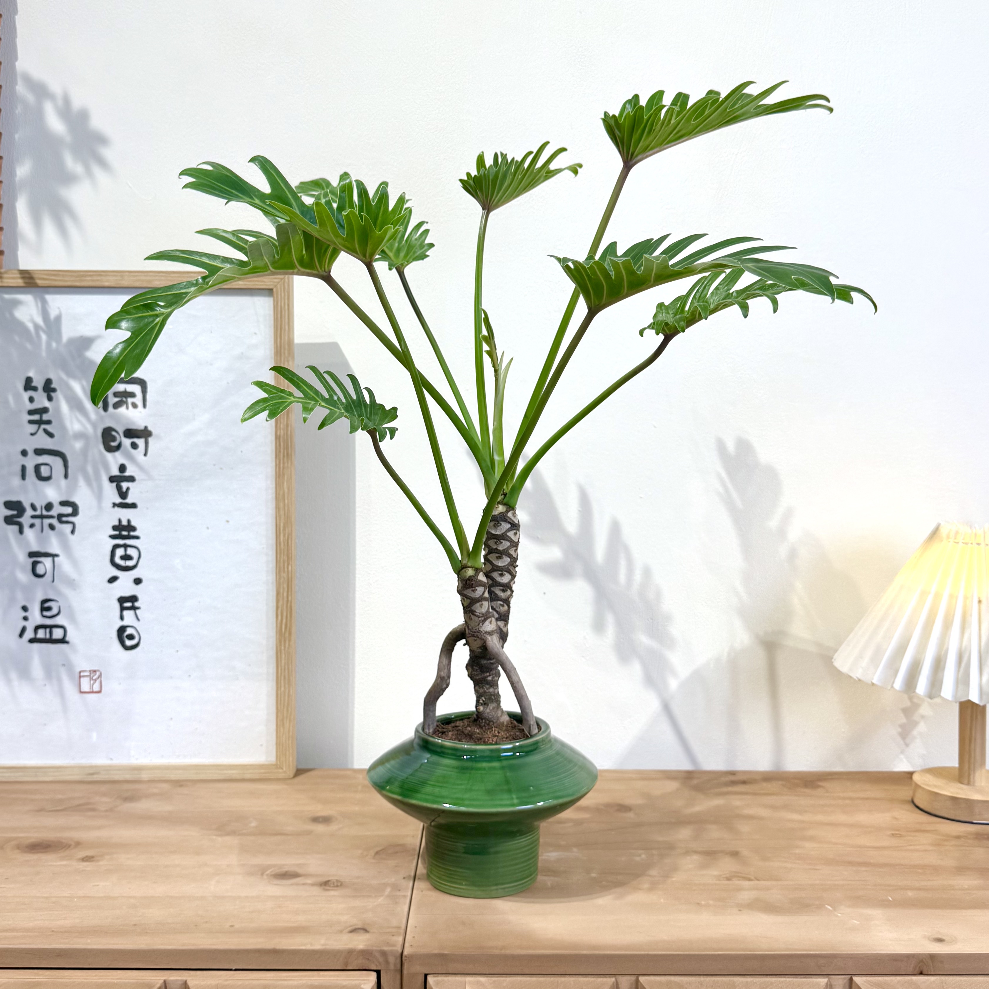 图3