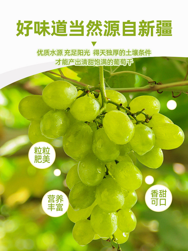  板牙妹妹葡萄干