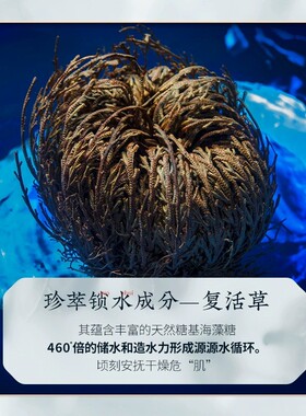 [复活草}提亮补水抗皱淡斑面膜