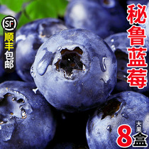 Peru imports blueberries fresh when season fruit blue plum fresh fruit alpine pleasant with sweet berry whole box of pregnant woman Big fruit