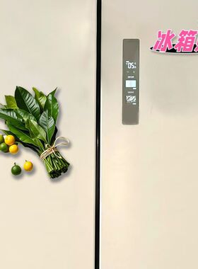 柚子叶去晦气亚克力装饰冰箱贴