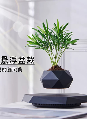 反重力磁悬浮花盆办公桌装饰摆件