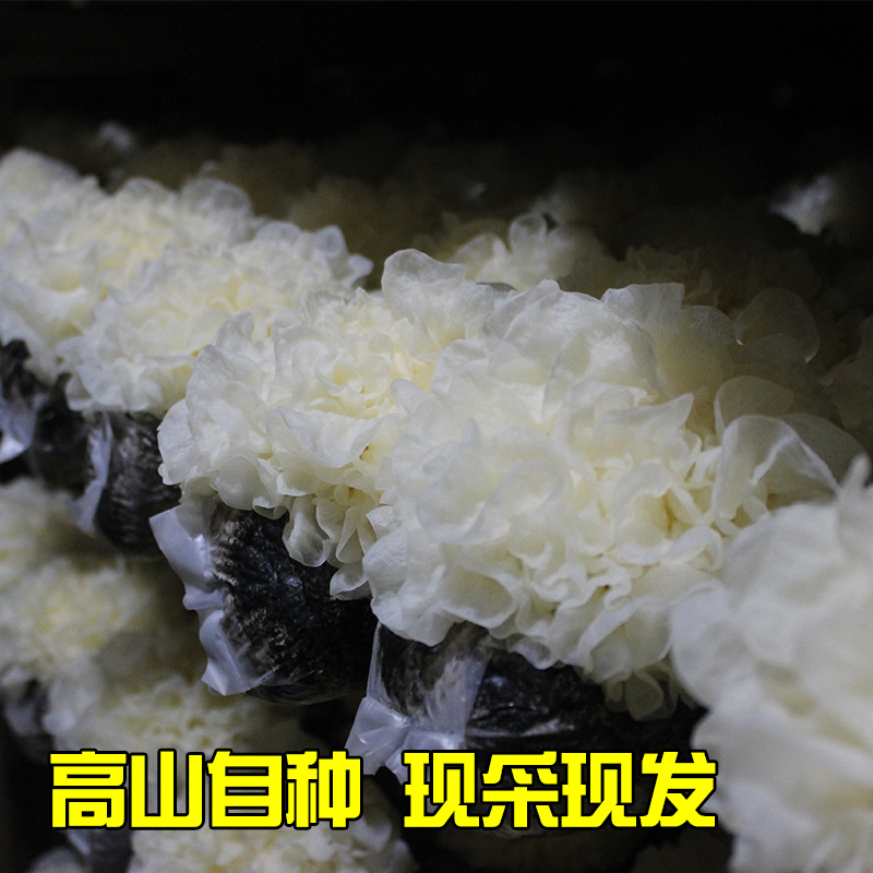 福建古田新鲜银耳鲜活生白木耳出胶孕妇软糯活鲜雪耳6朵盒装生,淘宝优惠券,粉丝福利购,淘宝优惠卷