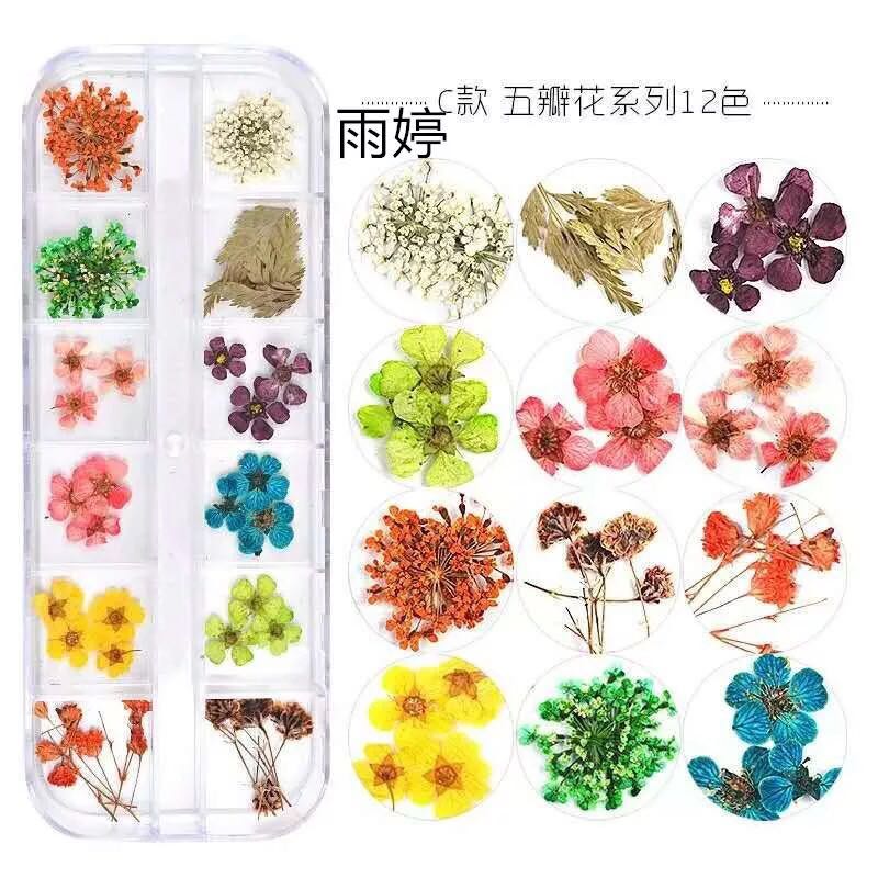 美甲干花饰品指甲花贴真花12色装饰雏菊日本小干花立体植物日系 - 图1