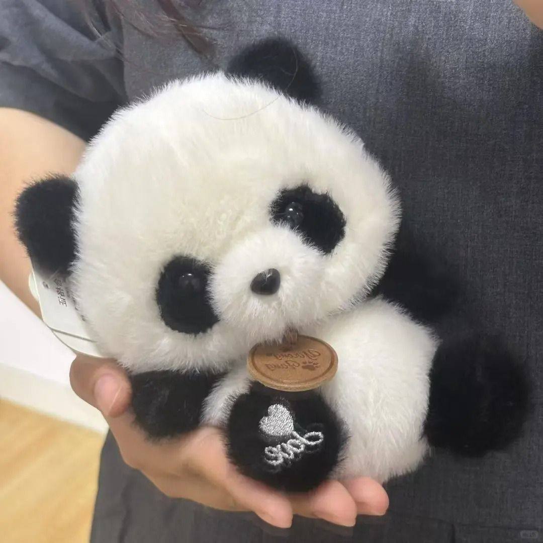 网红小浣熊毛绒玩偶可爱少女心小熊猫香猪布娃娃公仔送女生日礼物,淘宝优惠券,粉丝福利购,淘宝优惠卷