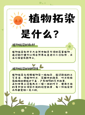 【极速发货】明矾固色剂植物拓染
