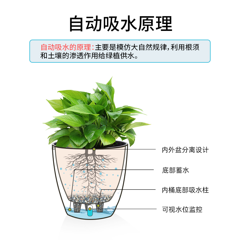 绿萝箩专用懒人花盆塑料大中小号自动吸水白色室内创意家用水培盆-图1