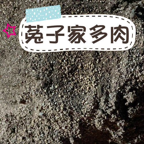 【菟子家多肉】多肉土、椰糠砖、麦饭石 - 图3