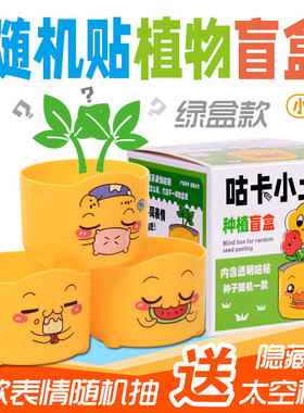 咕卡土豆小学生礼物种植盲盒花卉
