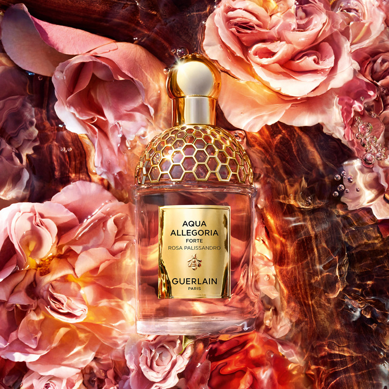  Guerlain娇兰香水
