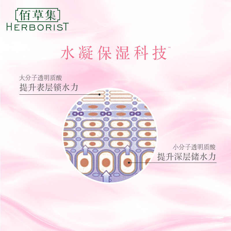  herborist佰草集善缘专卖液态精华