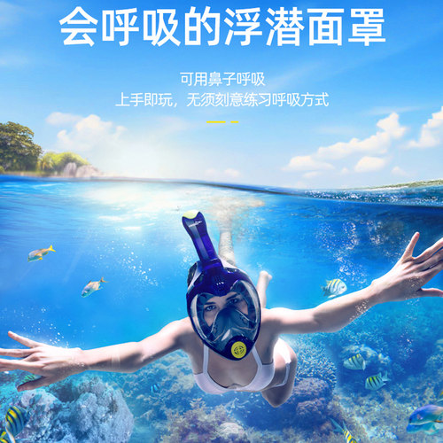 潜水面罩浮潜三宝全干式可呼吸管儿童成人近视全面镜游泳装备神器 - 图0