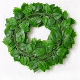 Моделирование зеленого растения Потолочное отделение