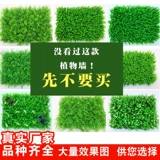 Зеленое растение Стенка Стены Растение Гяна Украшение