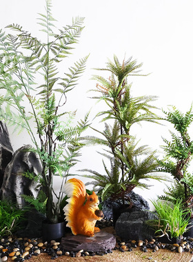 森系大型蕨类绿植北欧室内植物角落地橱窗装饰摆件轻奢假植物盆栽