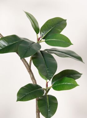 仿真绿叶榕黑金刚绿色橡皮树仿真绿植盆栽高端轻奢大型落地假植物