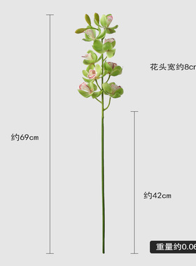 仿真蝴蝶兰绿色莫奈花园绿植假花3D打印兰花胶片蕙兰东亚兰仿真花