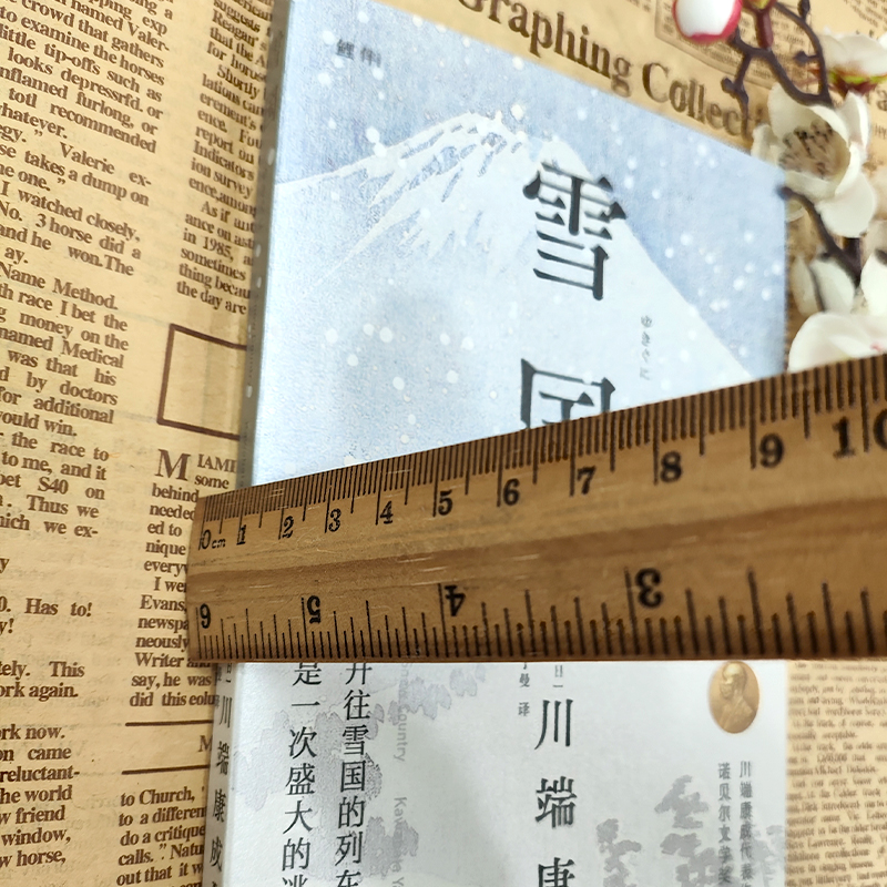 正版丨雪国 川端康成代表作之一 诺贝尔文学奖获奖作品 日式物哀之美 人性与欲望的对立 了解日本文学的切入点 日本文学外国名著 - 图1