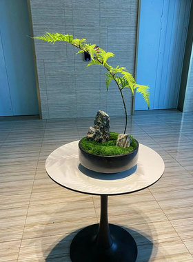 朗怡绿植盆景手工制作源头直销