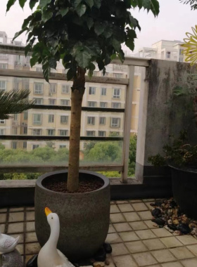 陶瓷景德镇复古古朴花盆厂家
