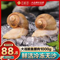 Dalian fake abalone pearl Bao Xiaoseafood fresh sea snail flesh sashimi Bao snail flesh 500 gr wifes foot