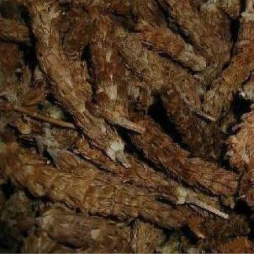 野生夏枯草中药材棒槌草新货白毛夏枯球茶夏姑草夏菇夏古草500克 - 图0