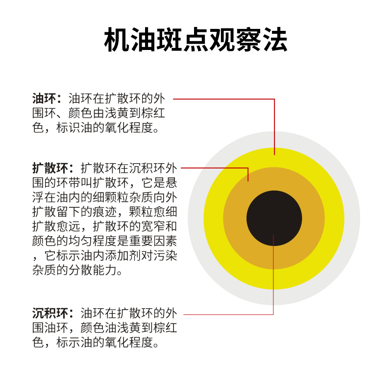 比克曼生物大张定性滤纸实验室快中慢速圆形机油试纸60cm工业医用 - 图2