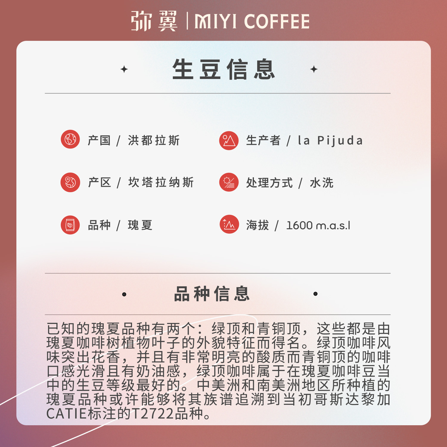 弥翼 洪都拉斯比胡达庄园COE获奖 瑰夏 水洗 浅烘单品手冲咖啡豆 - 图1