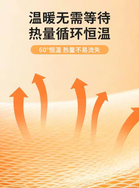【恒温】暖脚宝神器2026新款充电加热被窝睡觉专用暖脚垫冬季