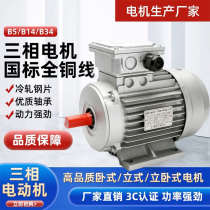 Motor Shanghai Dedong three-phase asynchronous motor copper core aluminium shell 0 09KW-2 2KW national standard AC motor