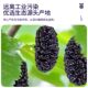 Dried mulberries without sand and large particles