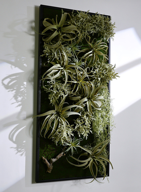 仿真植物相框壁挂墙壁装饰