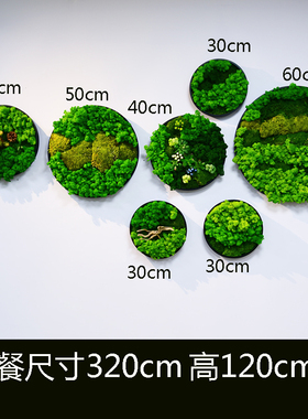 永生苔藓干花绿植壁挂挂件壁饰餐厅客厅景观植物墙墙面装饰原木