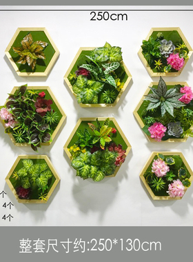 仿真植物玄关相框多肉立体墙饰
