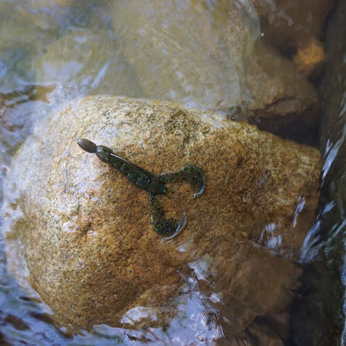 虾型软饵 3寸 美国Strike King Baby Craw JIG拖尾德州障碍 - 图0