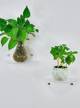 亚示克力壁挂展架创意可爱家物居装饰植玩具半小圆C2025040形浮动