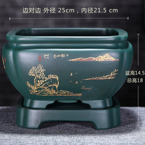 Bonsai Flower Basin Boutique Zifang Purple Basin Внутренняя гостиная Lubu Luo Han Pine Pot Bany