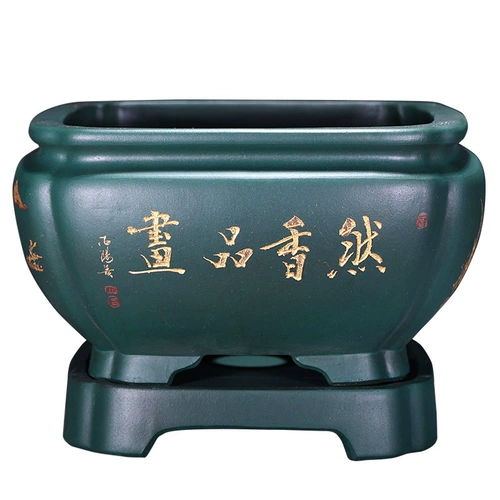 Bonsai Flower Basin Boutique Zifang Purple Basin Внутренняя гостиная Lubu Luo Han Pine Pot Bany