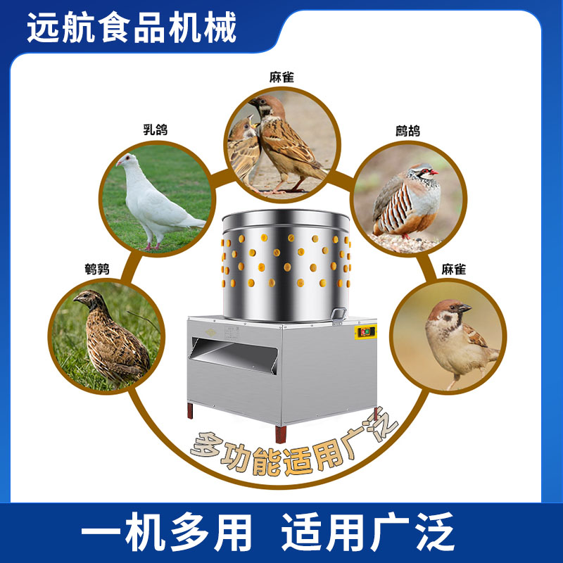 鹌鹑脱毛机鸽子去毛机拔毛机商用斑鸠打毛机鸟类乳鸽全自动不锈钢 - 图1