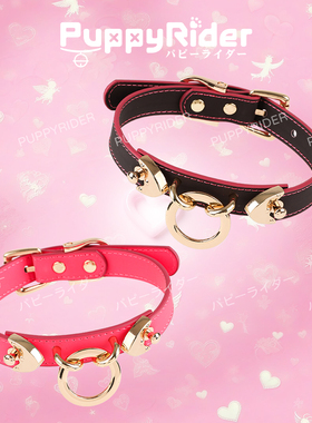 PUPPYRIDER温感变色sp颈环