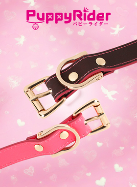 PUPPYRIDER字母小狗温变项圈